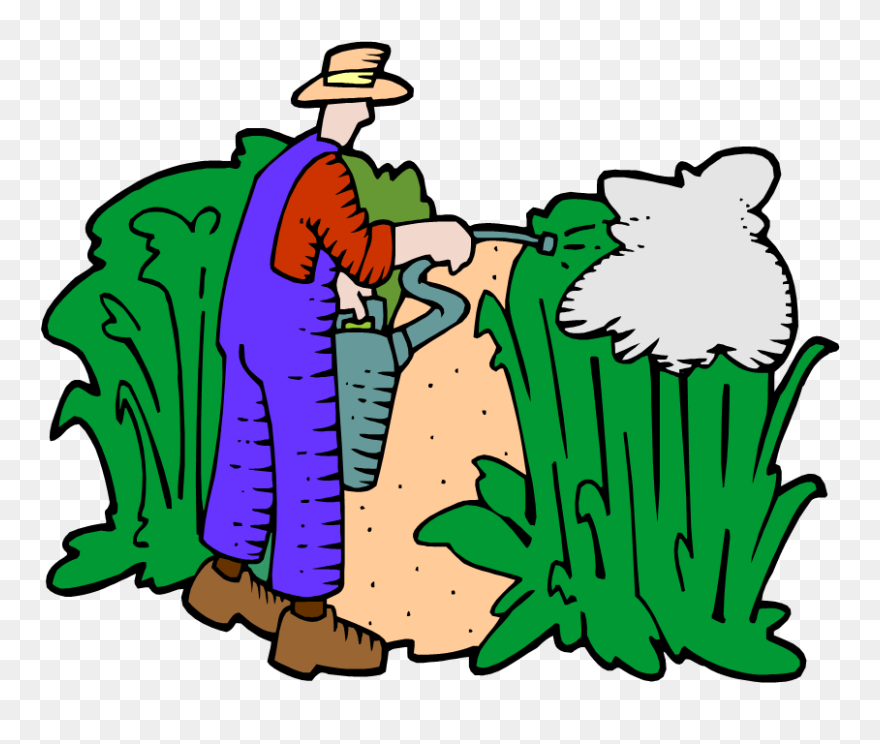 Plant Parts And Functions Clipart