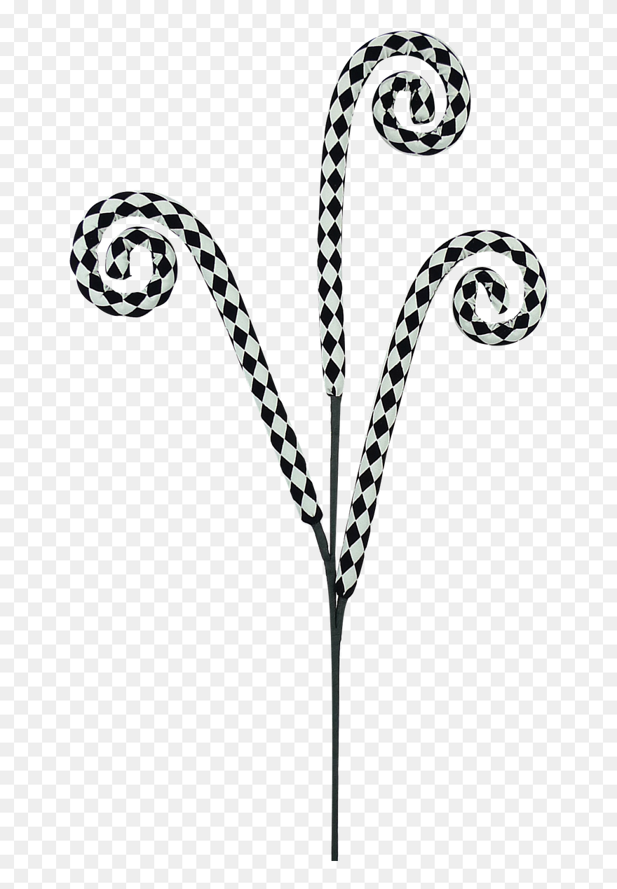 Black/white Harlequin Curly Spray - Black & White Harlequin Clipart