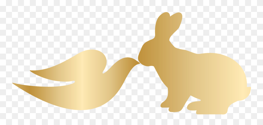 Dove Cruelty Free Logo Clipart