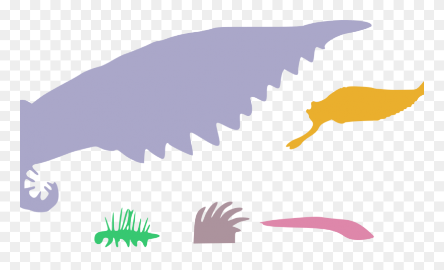 Cambrian Explosion Happened Because Bar Was Lower In - Big Was Anomalocaris Clipart