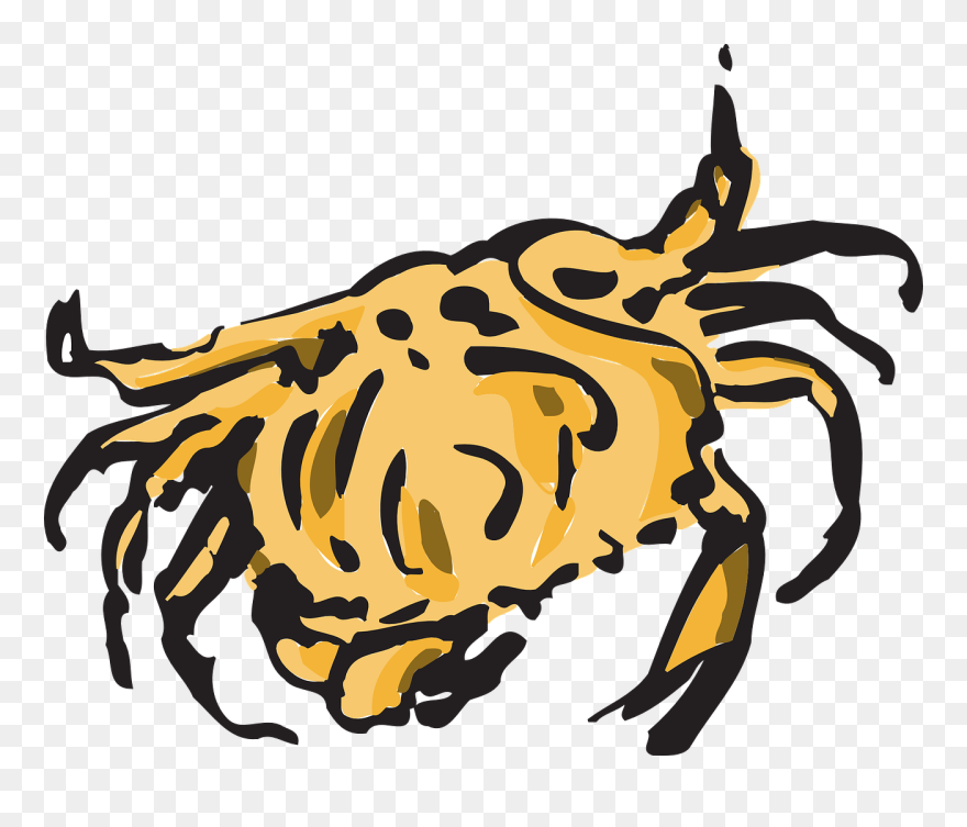 Crab Shell Pincers Free Photo - Fresh Crab Clipart