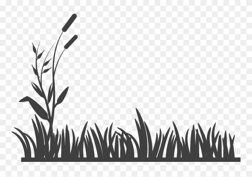 Grass Clipart Silhouette - Grass Clipart Black And White - Png Download