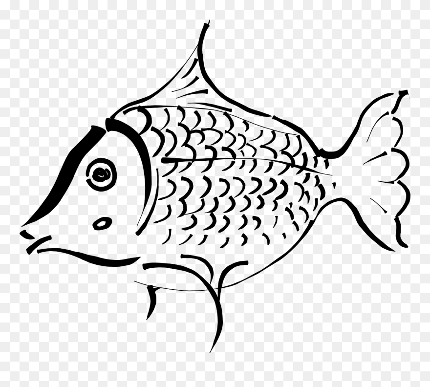 Outline Of A Fish Clipart