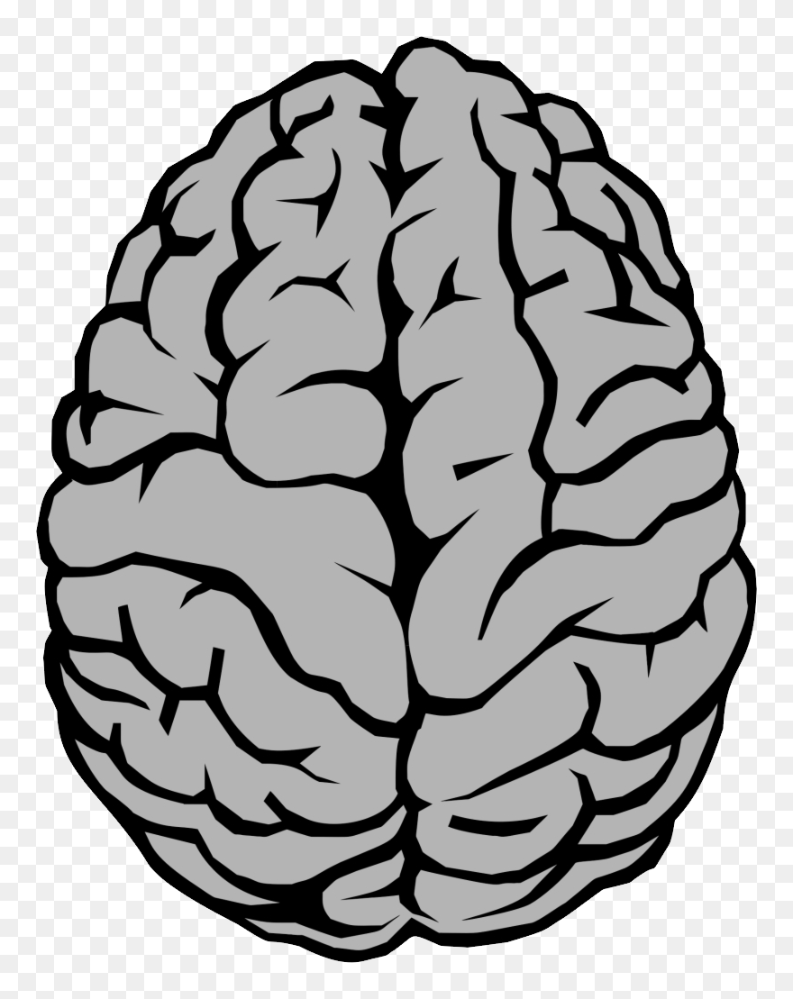 Brain Png - Brain Clip Art Transparent