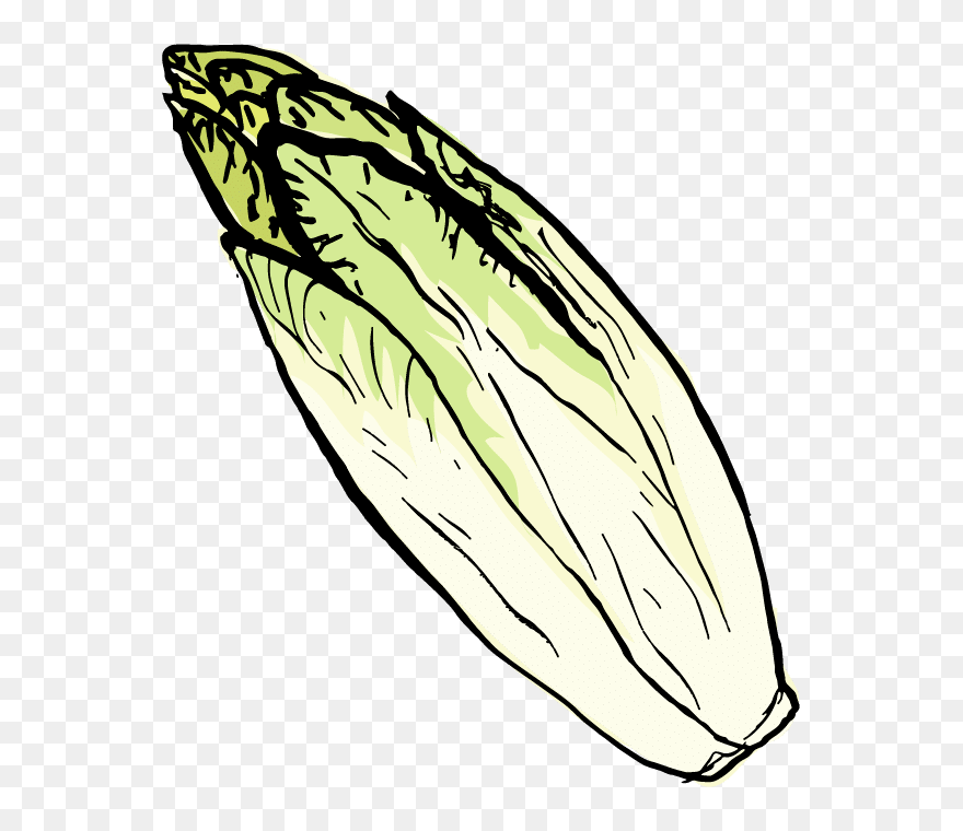 Clip Art - Png Download