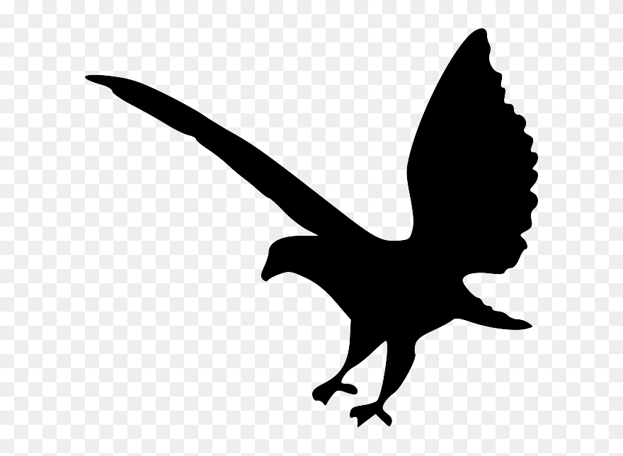 Eagle, Bird, Animal, Flying, Silhouette - Bird Logo Transparent Clipart