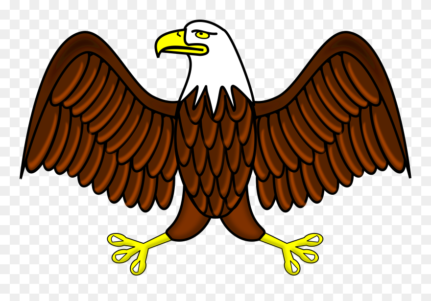 Eagles Clipart Eagle Usa, Eagles Eagle Usa Transparent - Bald Eagle Clip Art - Png Download