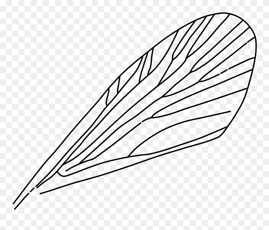 Insect Wings Clipart - Png Download