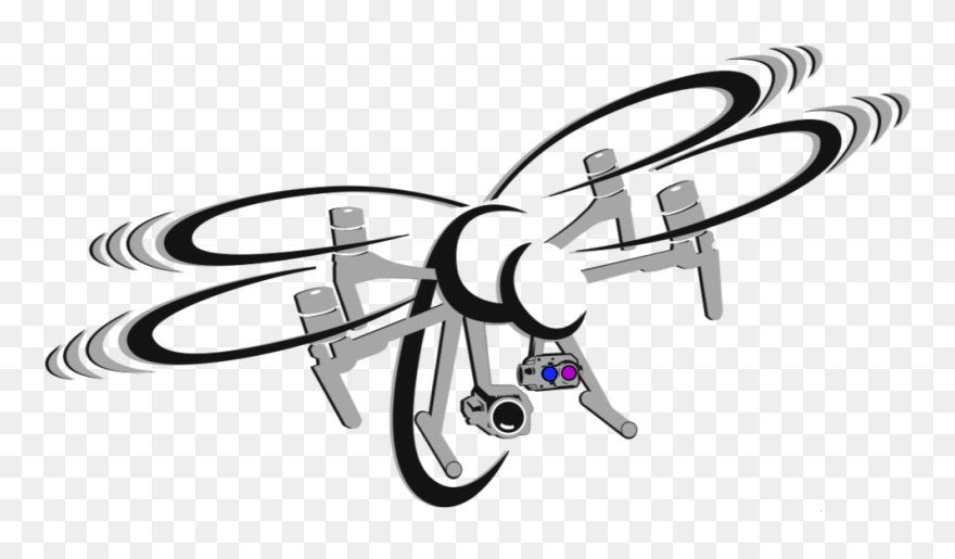 Firefly Black And White Clipart - Png Download