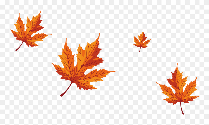 Maple Leaf Red Maple - Falling Maple Tree Leaves Clipart