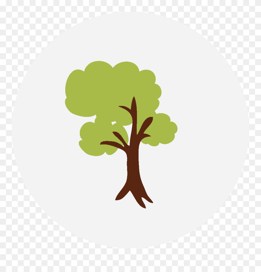 Nature Photography - Cd Art Clipart