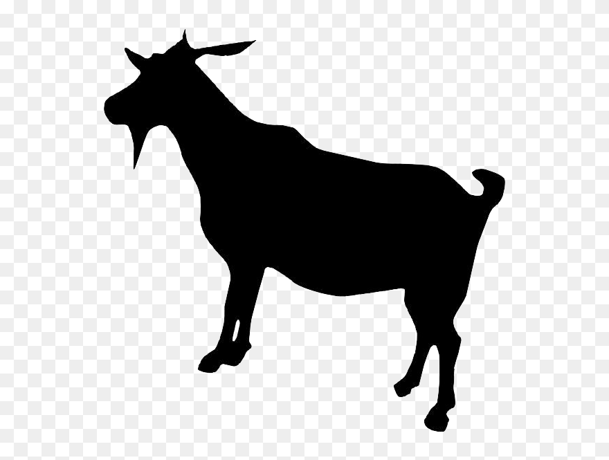 Boer Goat Dorper Cattle - Goat Clipart