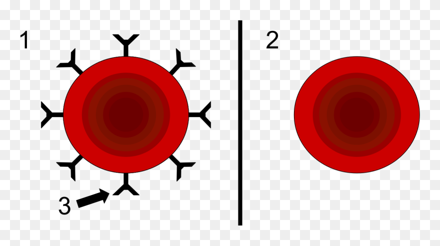 Резус Фактор Clipart