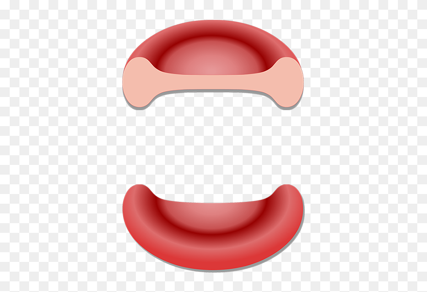 Unlabelled Red Blood Cell Clipart