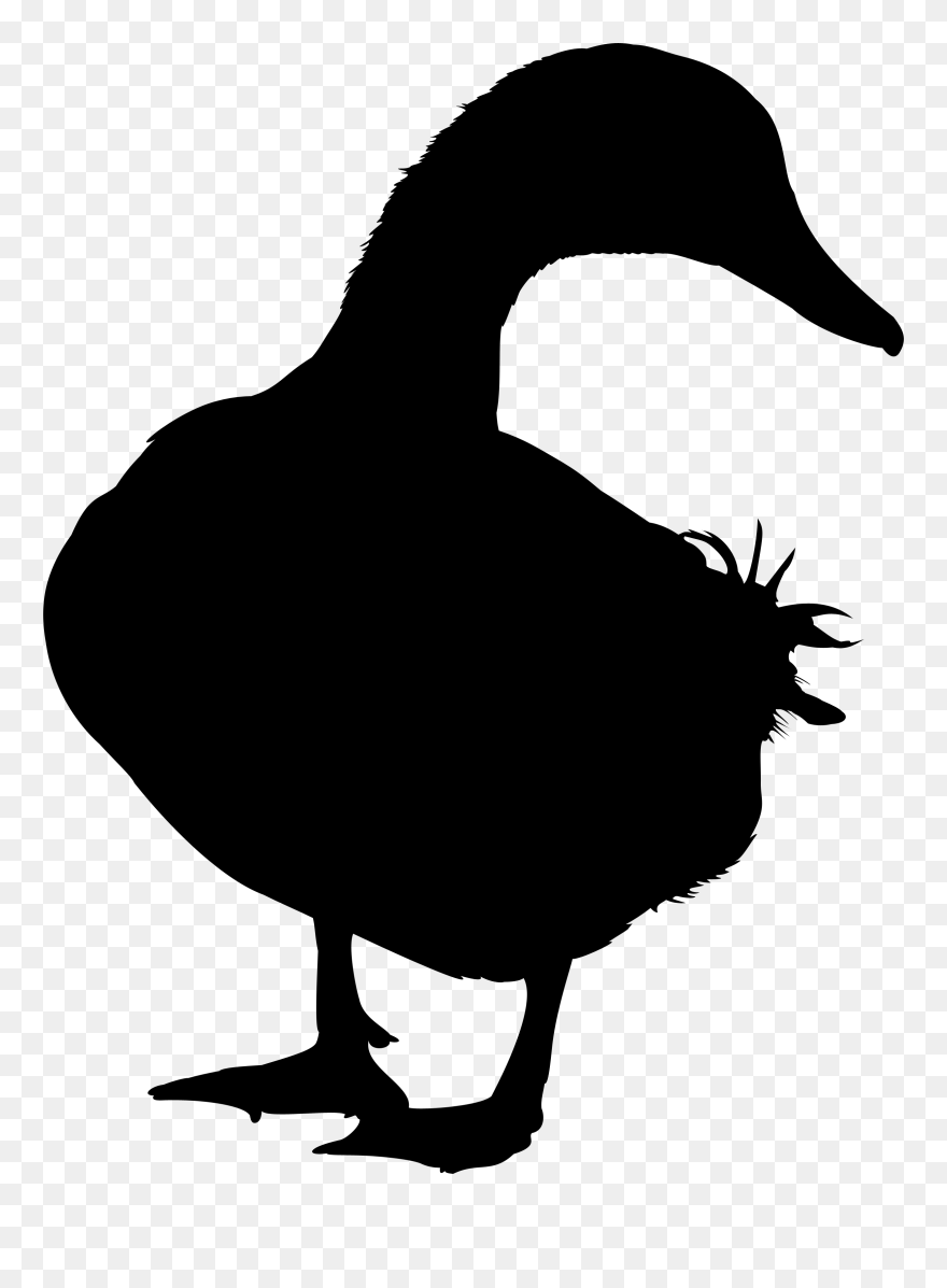 Duck Goose Silhouette Vector Graphics Image - Vector Duck Silhouette Png Clipart