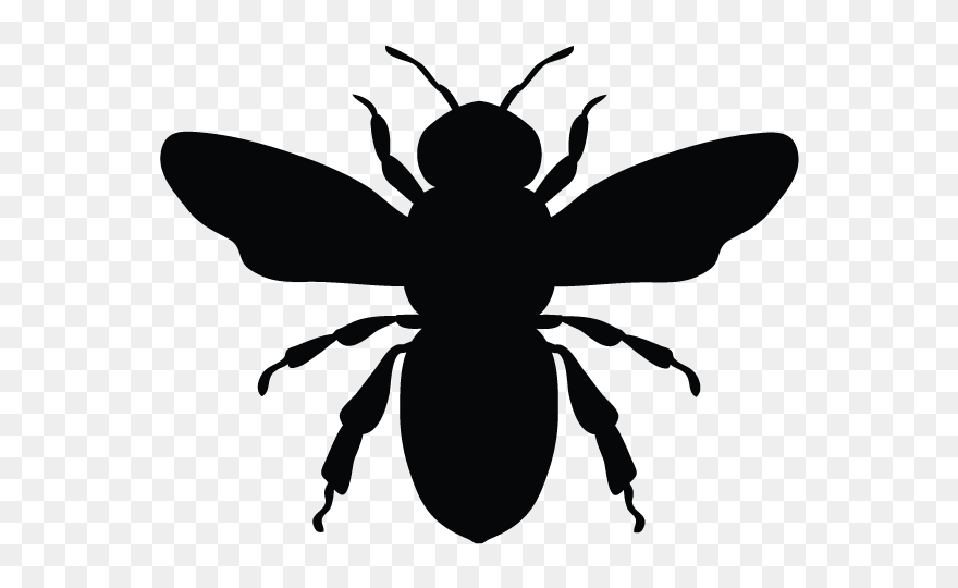 Honey Bee Vector Graphics European Dark Bee Illustration - Bee Silhouette Clipart