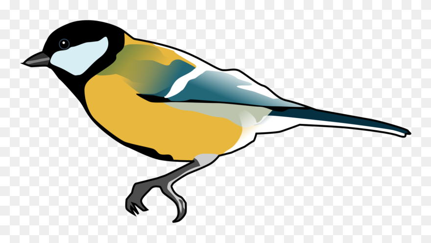 Finches Songbird Drawing Computer Icons Cc0 - Tit Bird Transparent Background Clipart