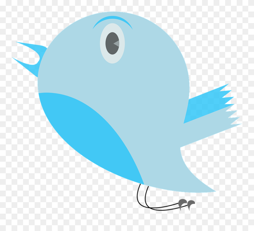 Twitter Passarinho Png Clipart