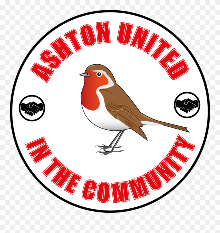 European Robin Clipart