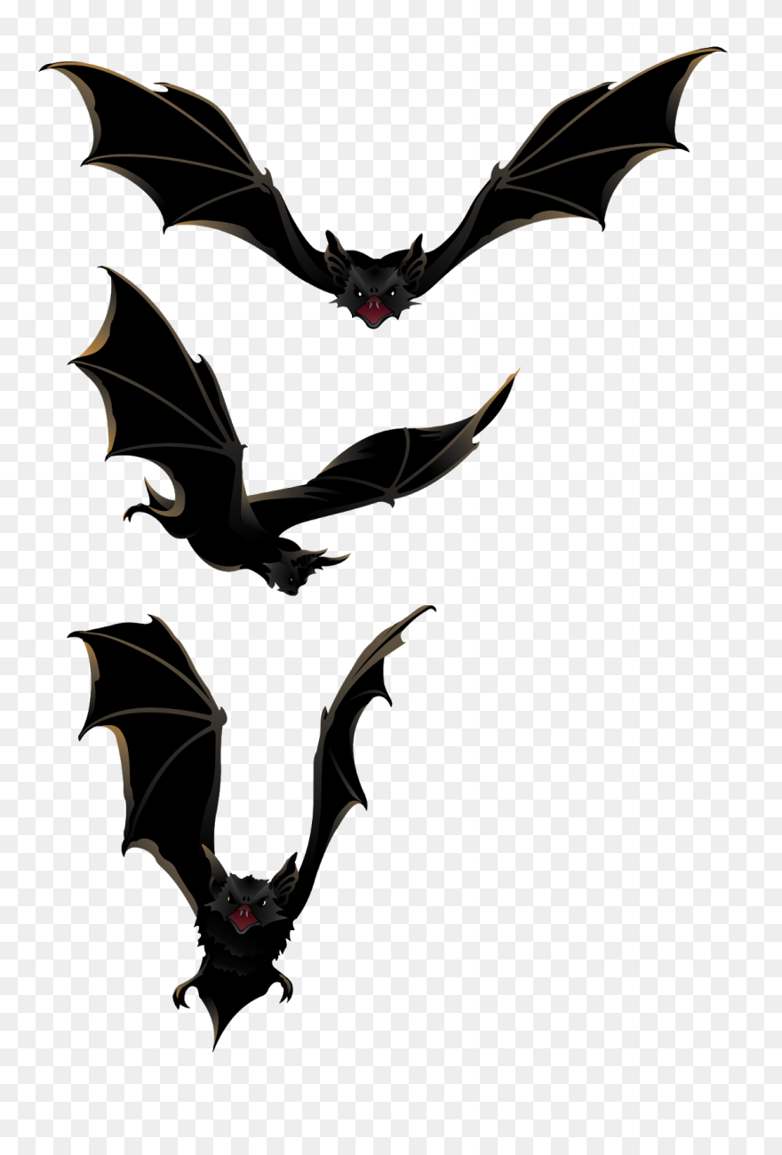 Bat Clipart Animation - Bats Clipart - Png Download