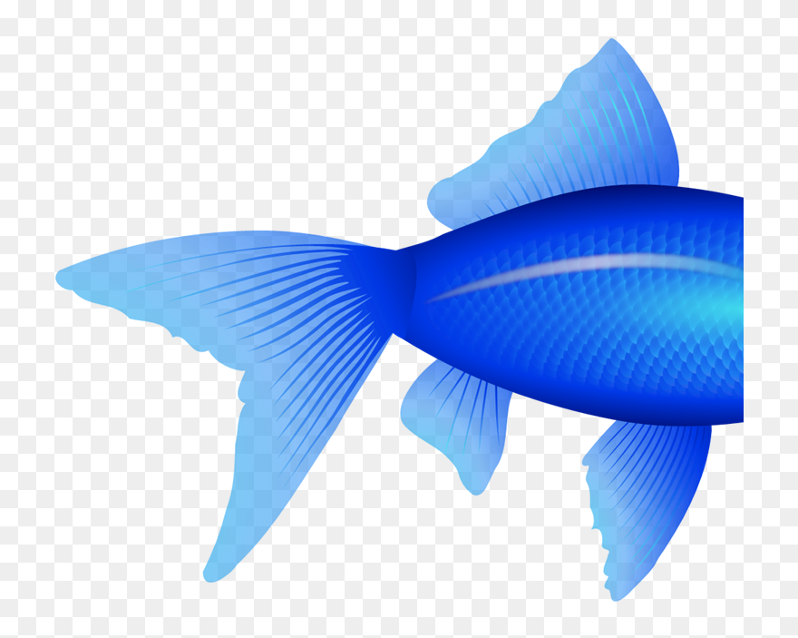 Fish Clipart No Background - Png Download