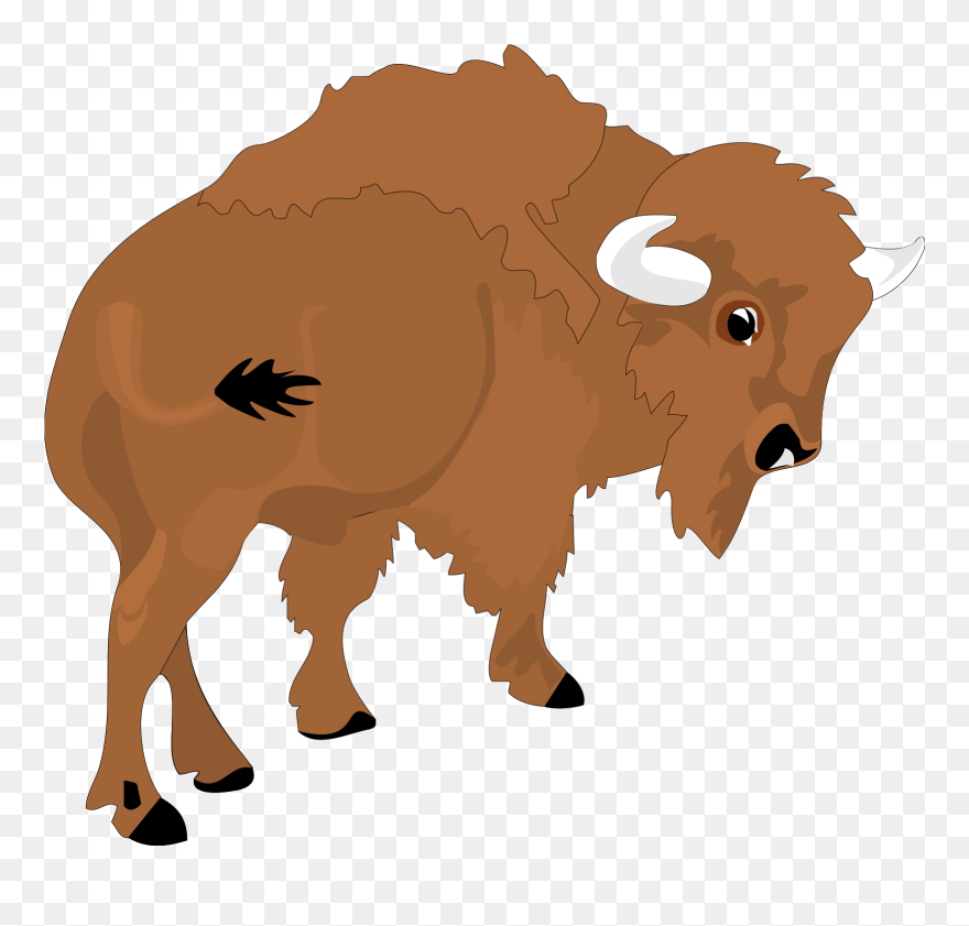 Cartoon Buffalo Clipart - Buffalo Clipart - Png Download