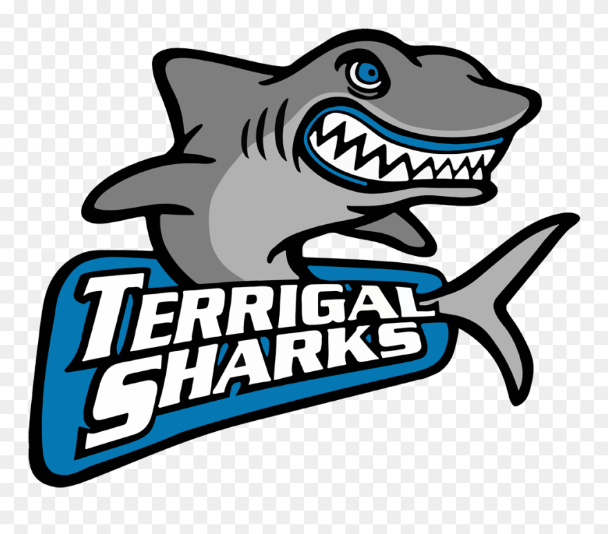 Terrigal Sharks Logo - Terrigal Sharks Clipart