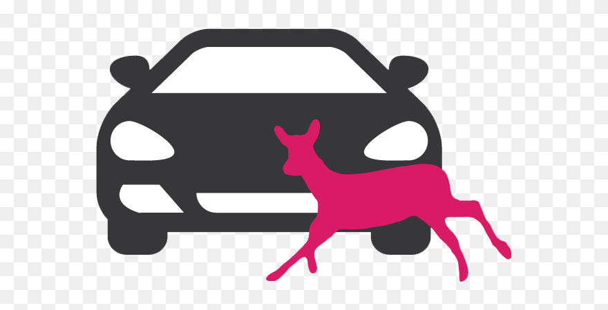 Animal-vehicle Collisions - Car Icon Vector Png Clipart