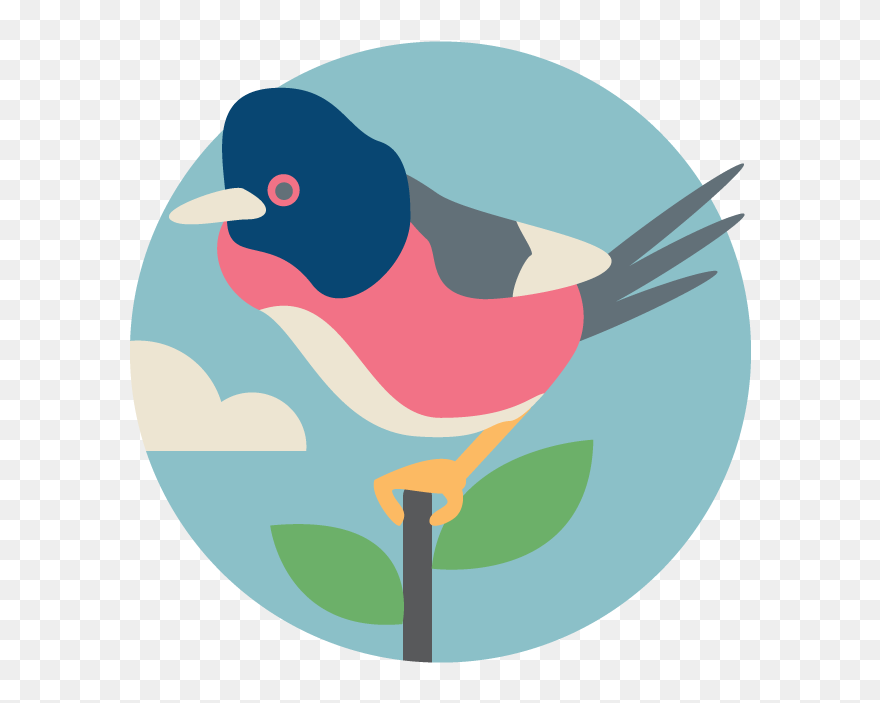 Dartford Warbler - European Swallow Clipart
