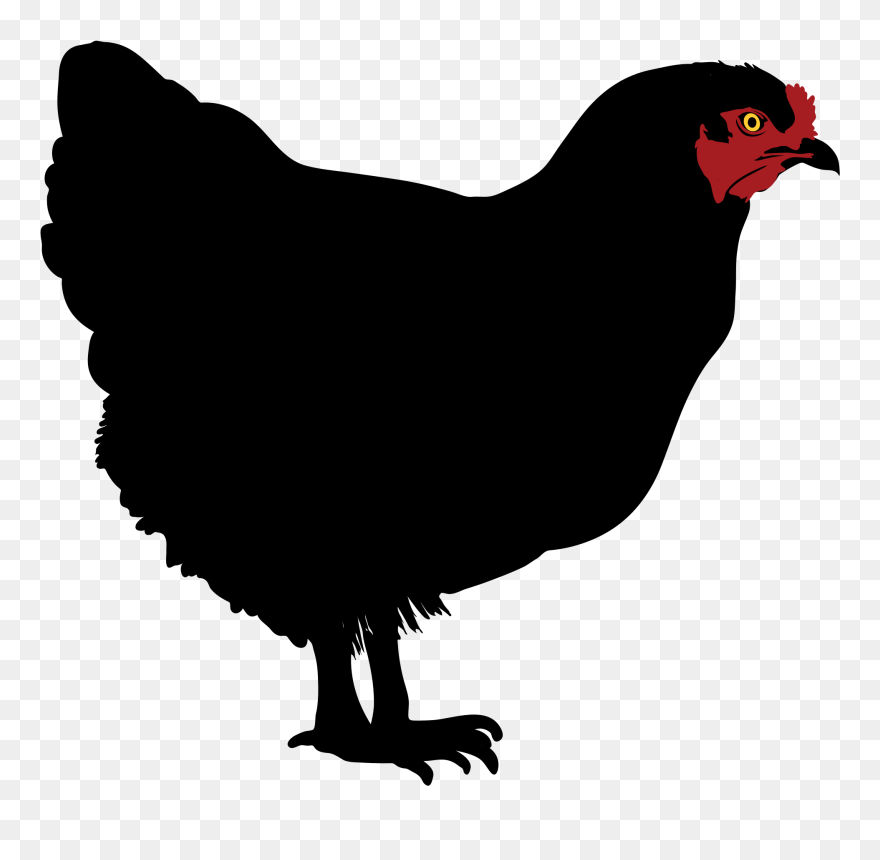 Chicken Silhouette Clip Art - Png Download