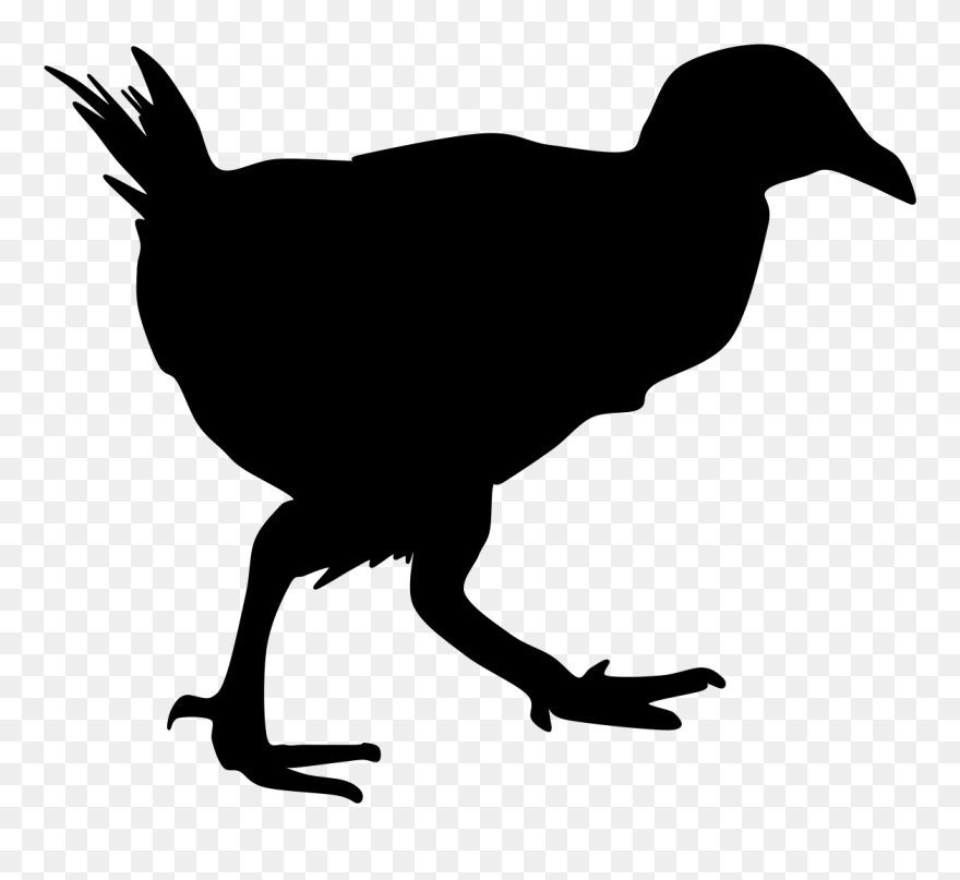Bird Weka Silhouette Australasian Swamphen Clip Art - New Zealand Bird Silhouettes - Png Download