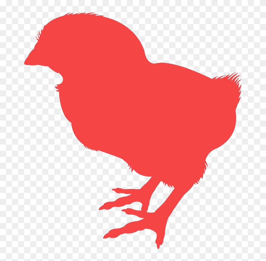 Baby Chick Silouette Clip Art - Png Download