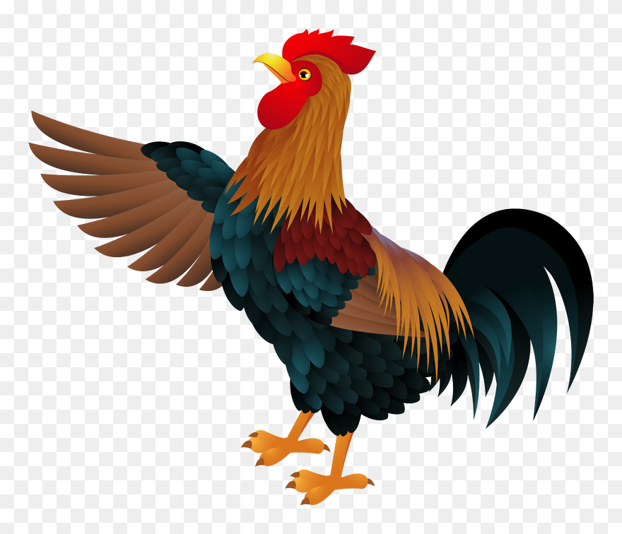 Vector Graphics Clip Art Image Rooster - Rooster Png Transparent Png