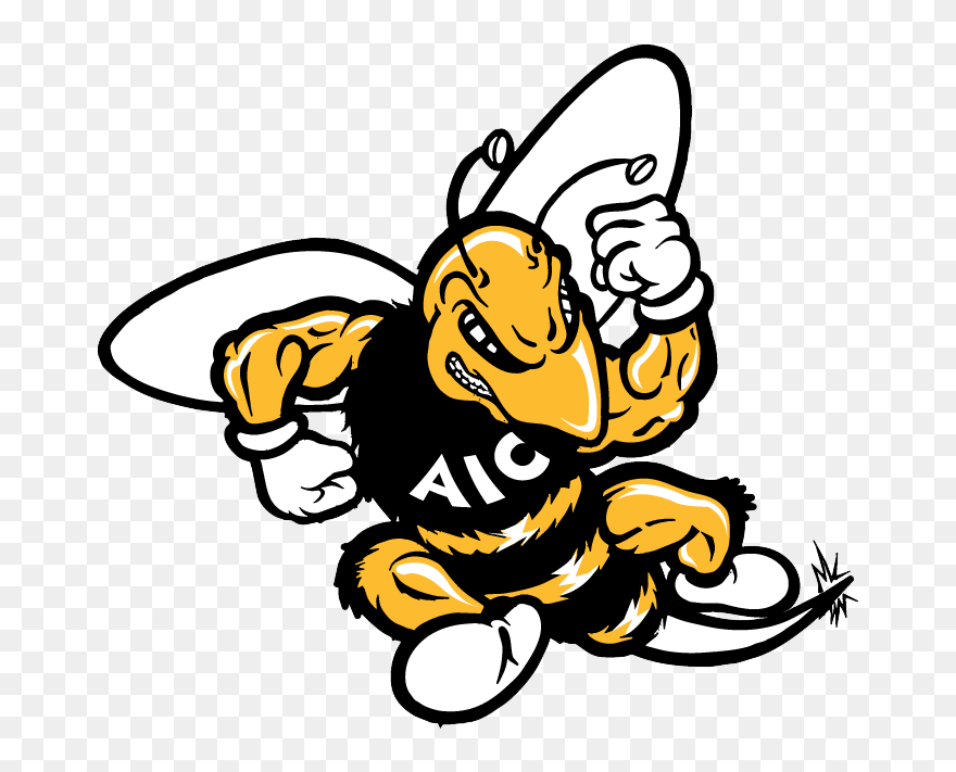 American International Softball Scores - American International College Athletics Logo Clipart