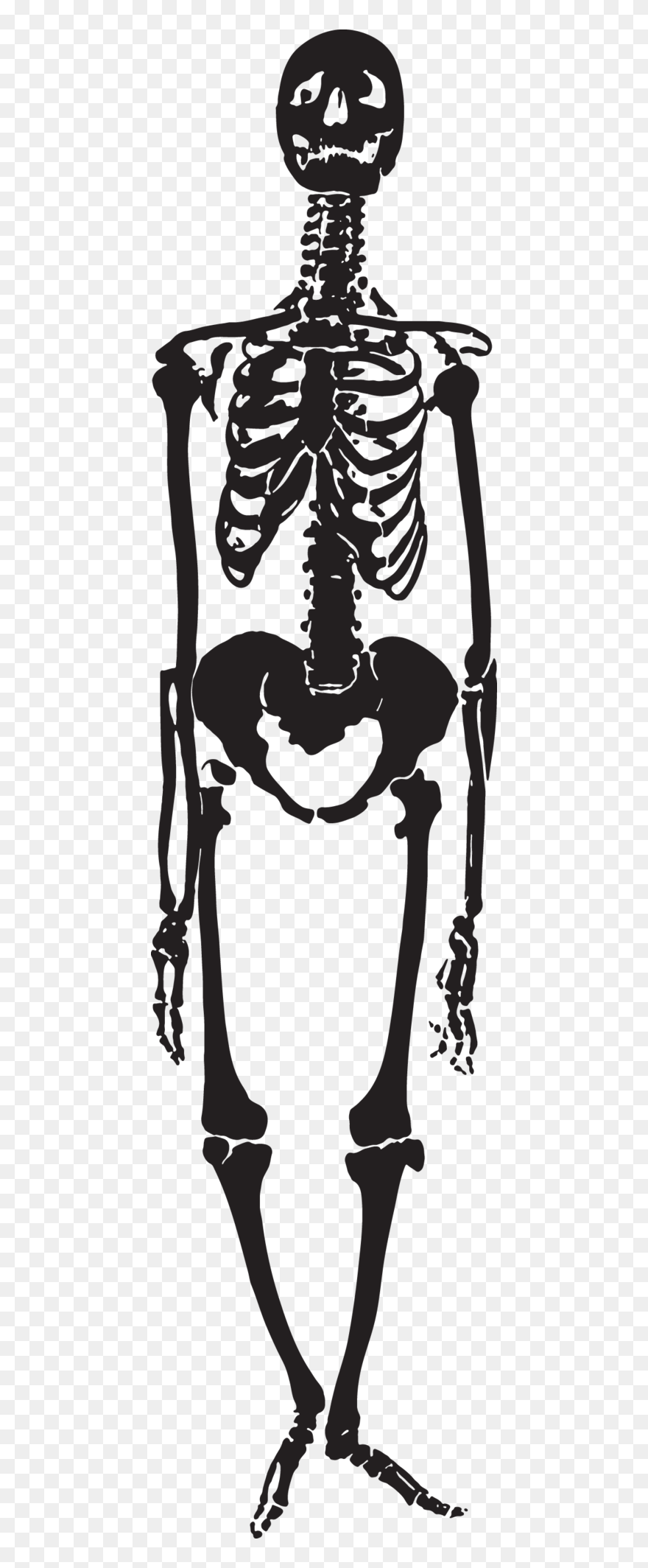 Illustration Clipart