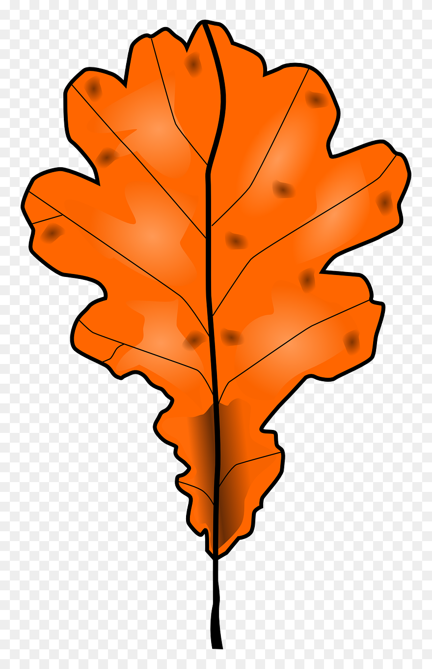 Brown Fall Leaf Vector Clip Art - Dead Leaves Clipart - Png Download