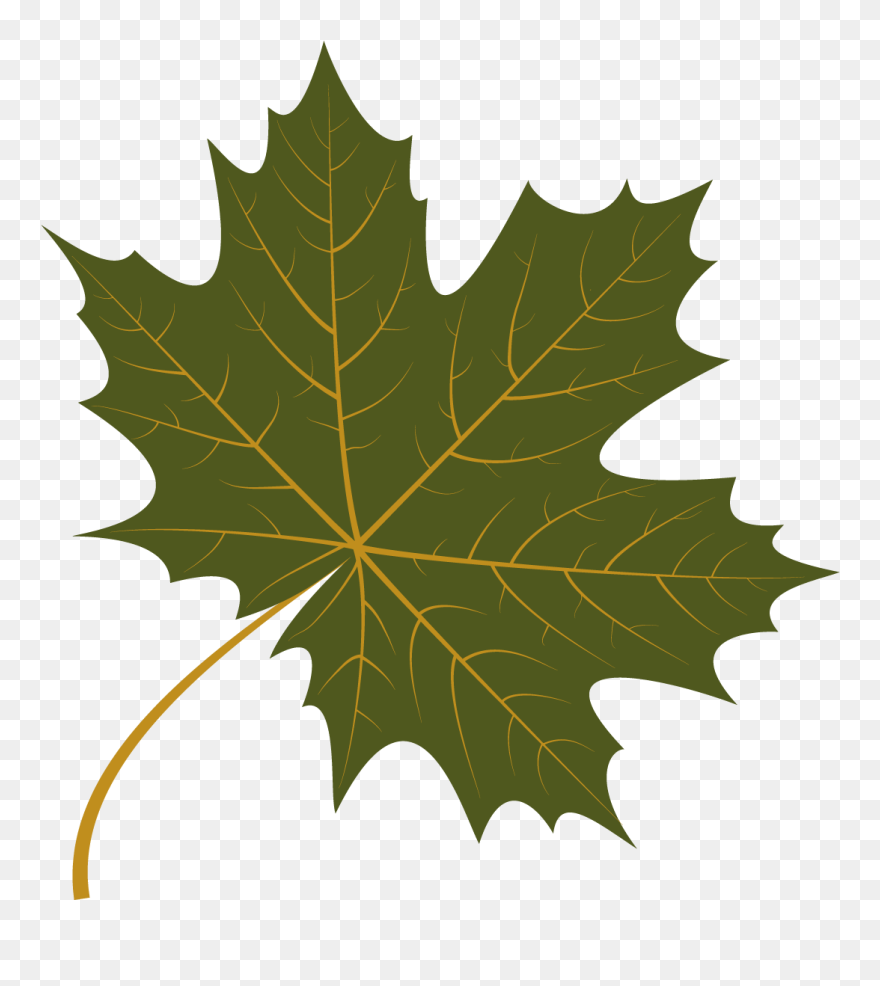 Transparent Grape Leaves Clip Art - 4 Leaves Autumn - Png Download