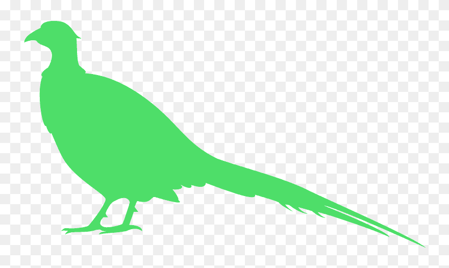 Silhouette Pheasant Png Clipart