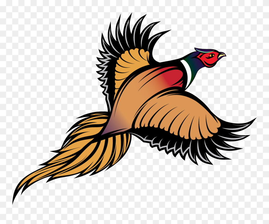 Transparent Turkey Feather Clip Art - Pheasant Clipart - Png Download