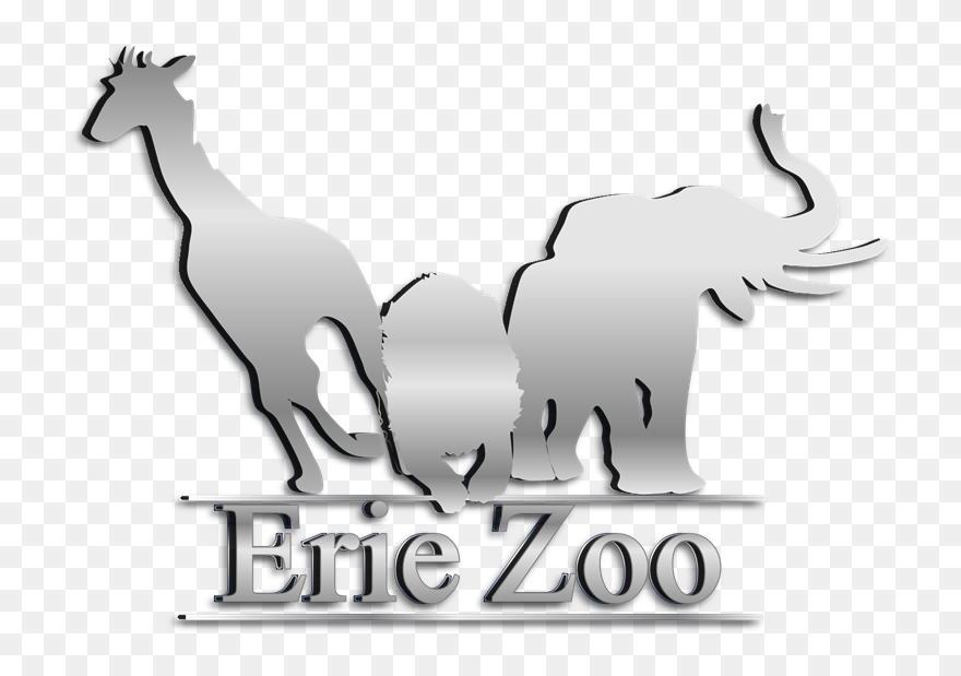 Kangaroo Clipart