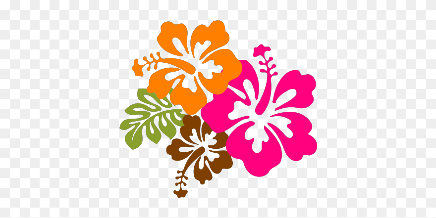 Hibiscus 15 Svg Clip Arts - Hibiscus Clip Art - Png Download