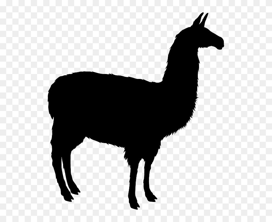 Llama Clipart Inca - Llama Silhouette Png Transparent Png