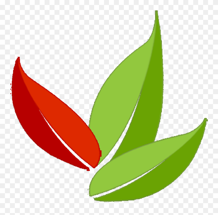 Best Of Peru Travel Logo Leaves - Coca Leaf Logo Png Clipart