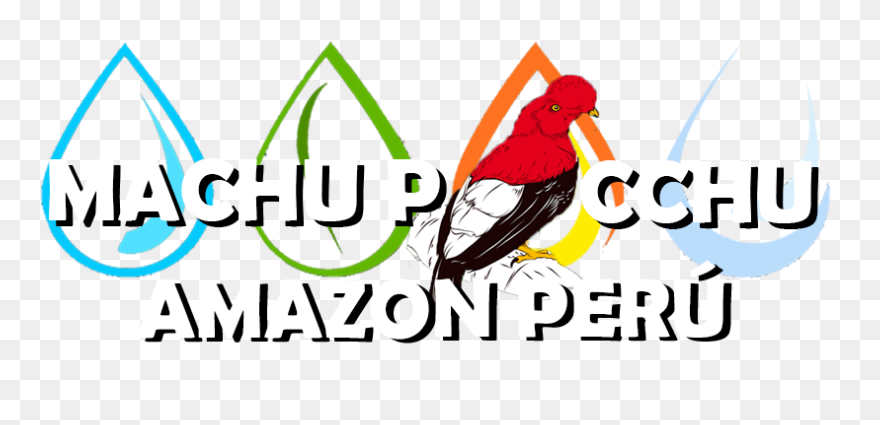 Illustration Clipart