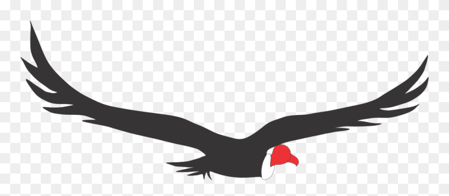 Bird Of Prey Clipart