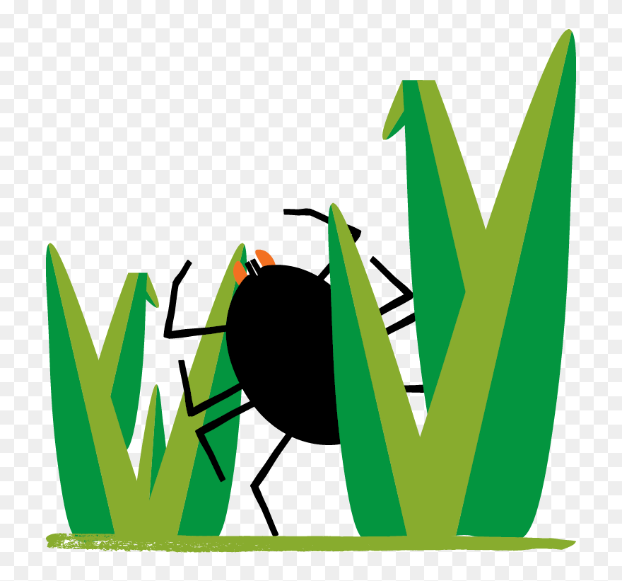 Lyme Disease Clipart Transparent Png Download (5745046) PinClipart