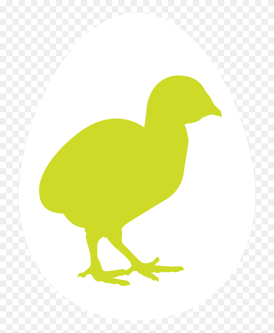Duck Clipart