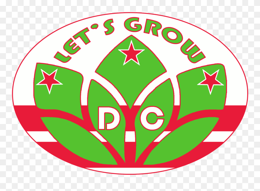 Image - Circle Clipart