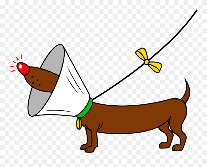 Dog On Leash Clipart Graphic Black And White Download - Leash - Png Download