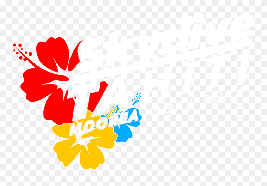Tahiti Parachutisme - Hawaiian Hibiscus Clipart